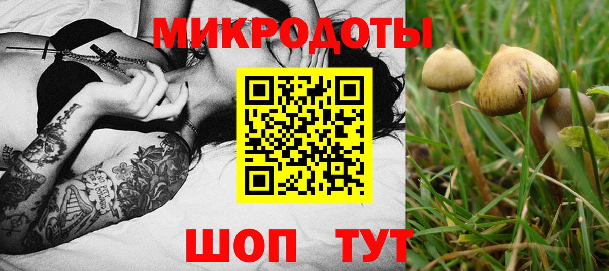 Галлюциногенные грибы MAGIC MUSHROOMS  Вход с VPN  Псилоцибиновые грибы Psilocybine cubensis  Фурманов 